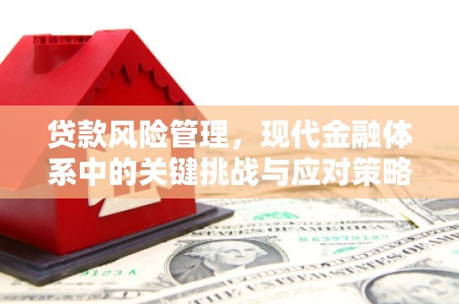 满洲里贷款风险管理，现代金融体系中的关键挑战与应对策略